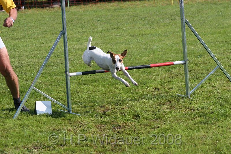 jubil.lusten. 147.jpg